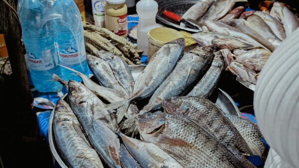 Fresh whole fish displayed on a busy market stall