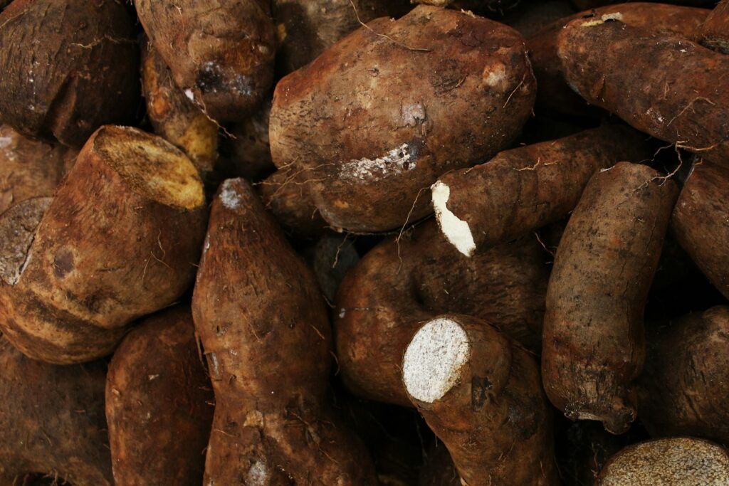 A pile of fresh yams with brown skin