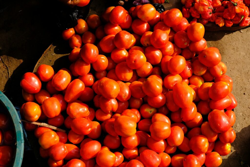 Red round tomatoes arranged on a black tray