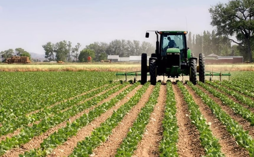 BestInvestmentIdeasinDeltaState Agriculture2CRealEstate2CandTechStartups