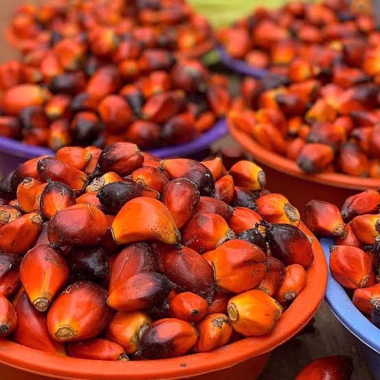 How to Make Original Banga Soup (Isoko/Urhobo Style): Complete Recipe Guide