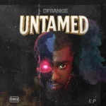 D'Frankie – Wound Person cover art